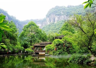 环保展|重庆酉阳石漠化治理成效显著 生态修复带动绿色发展